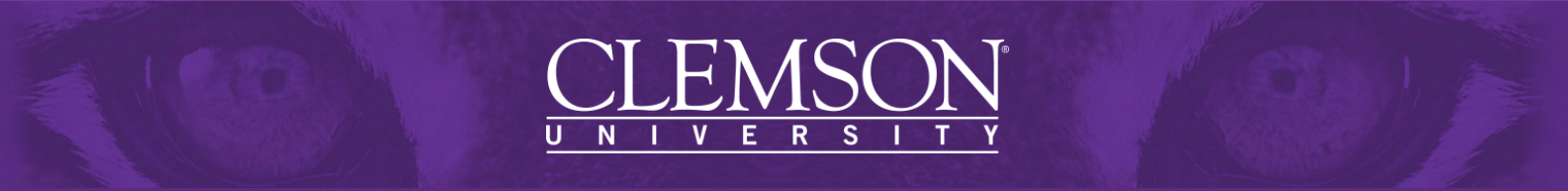 Pam Hendrix Center for Education Abroad - Clemson University